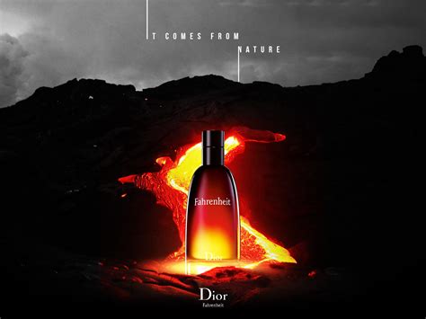 dior fahrenheit edp yorum|fahrenheit by christian dior price.